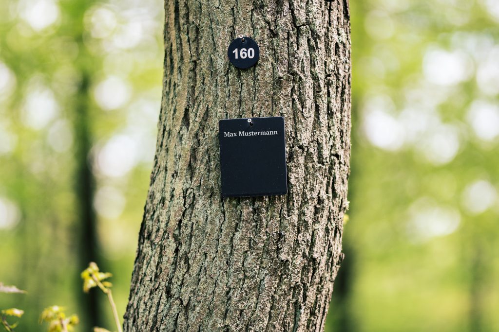 Namensplakette an einem Baum. Baumbestattungen im Waldfriedhof Eifel.