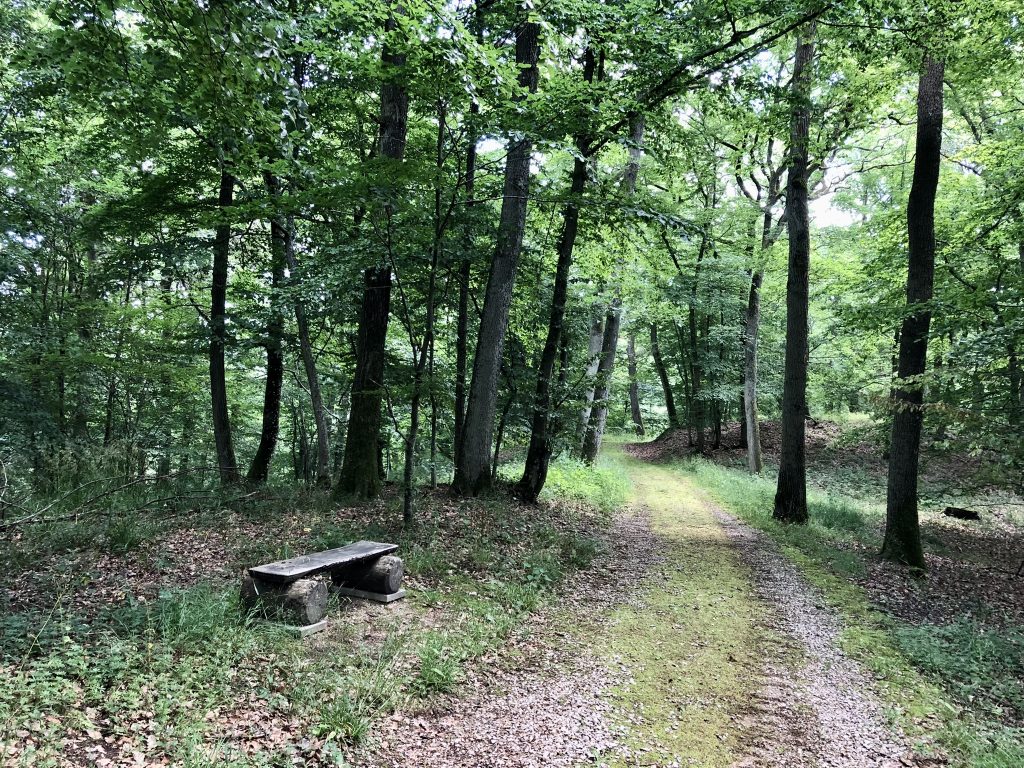 Umgeben von Natur Abschied nehmen. Und Rast machen auf einer der hölzernen Bänke.
