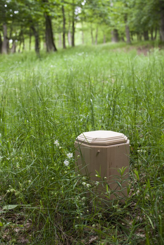 Wir nutzen ausschließlich biologisch abbaubare Urnen auf unserem Waldfriedhof. Diese Urne ist aus Buchenholz.