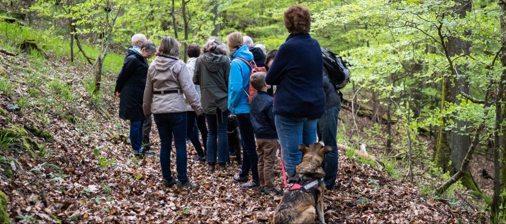 Teilnehmer und Teilnehmerinnen einer kostenlosen Waldführung durch den Waldfriedhof. Waldbestattung im Raum Köln Bonn: Der Waldfriedhof Eifel.