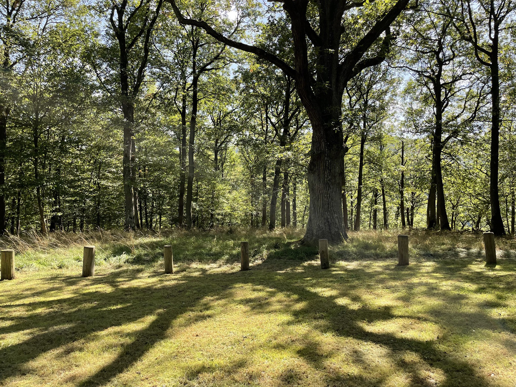 Andachtsplatz im Waldfriedhof Eifel