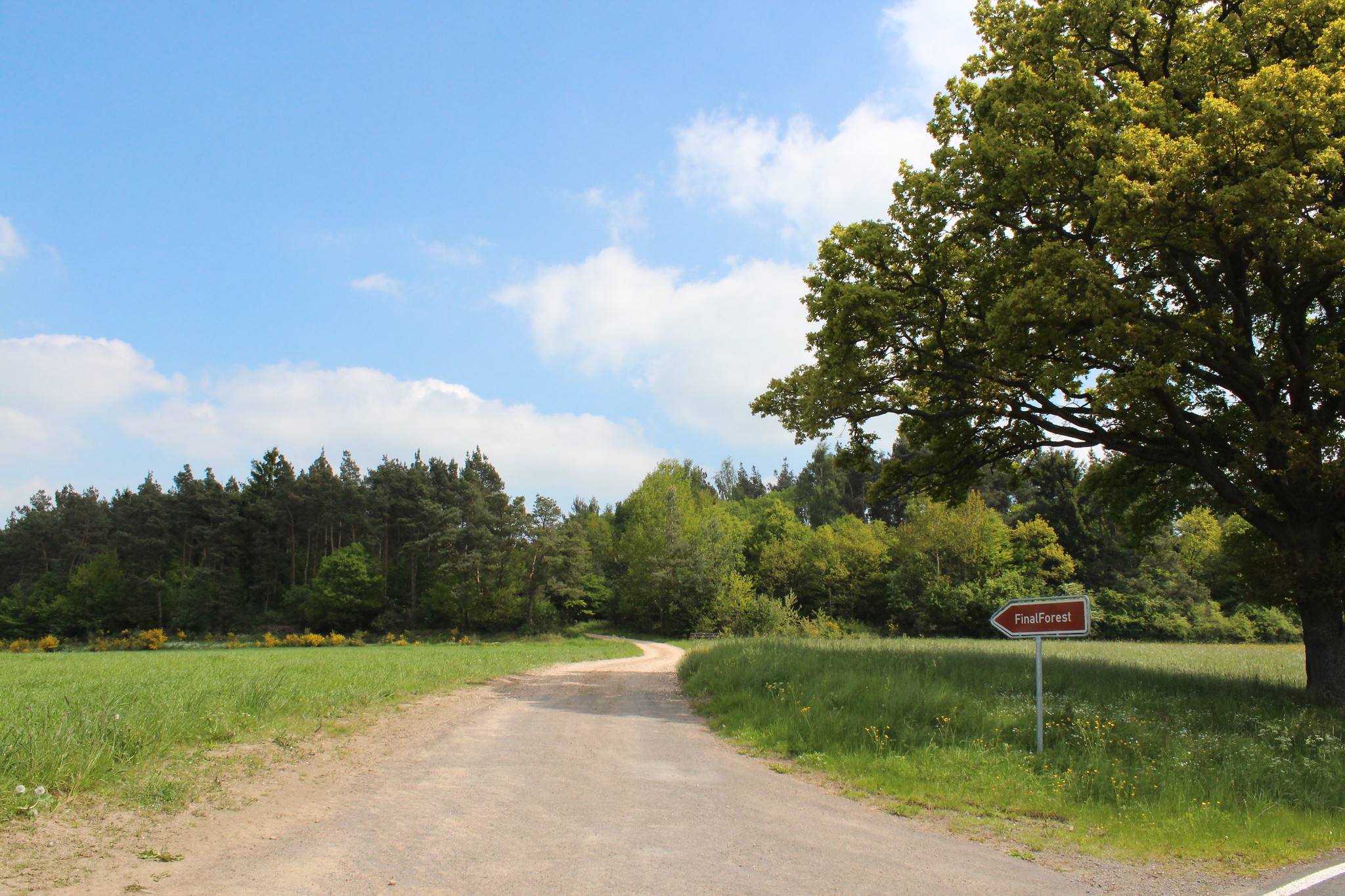 Zufahrt zum Waldfriedhof Eifel