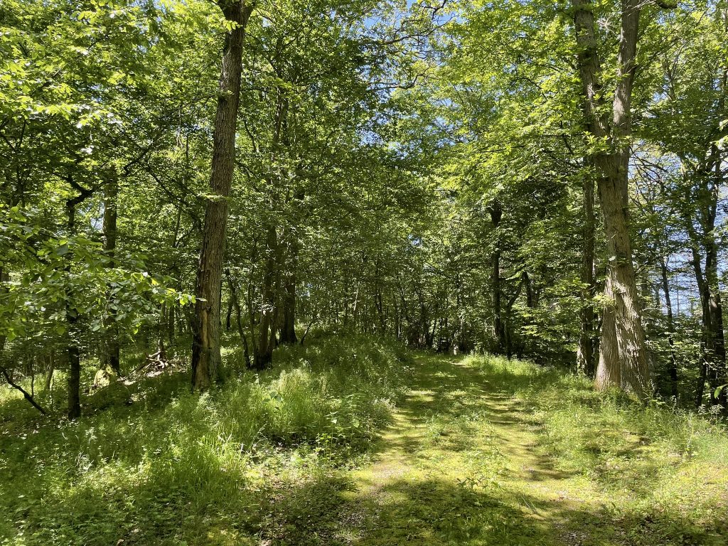 Waldfriedhof Eifel