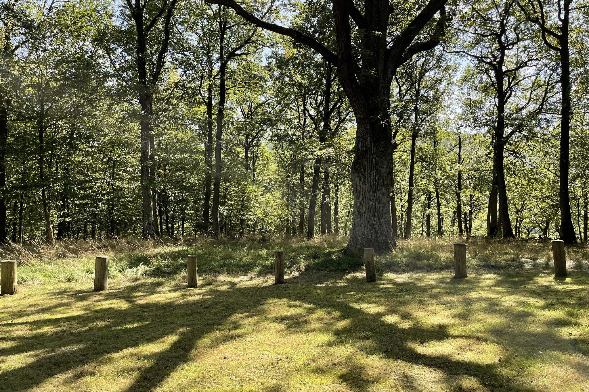 Andachtsplatz im Waldfriedhof Eifel