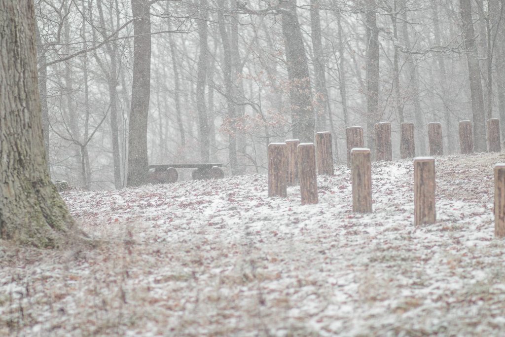 Andachtsplatz Waldfriedhof Eifel im Schnee