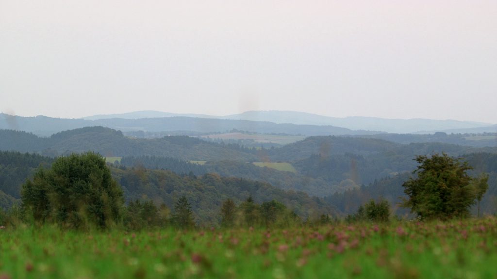 Ausblick in die Eifel vom Waldfriedhof Eifel