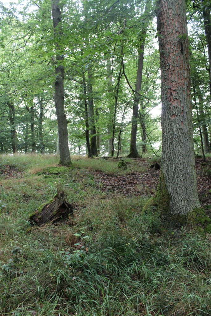 Parzelle Nr. 59
