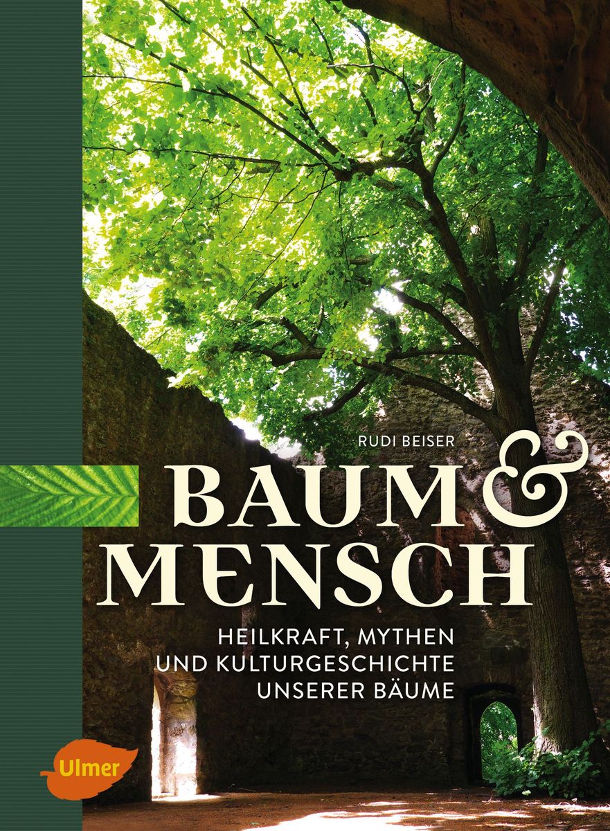 Buchcover Baum und Mensch