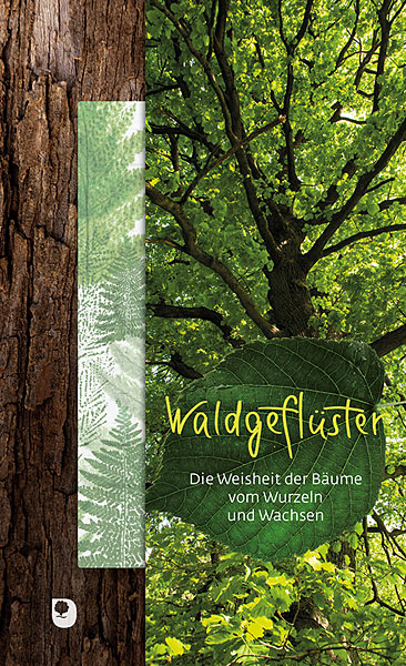Buchcover Waldgeflüster