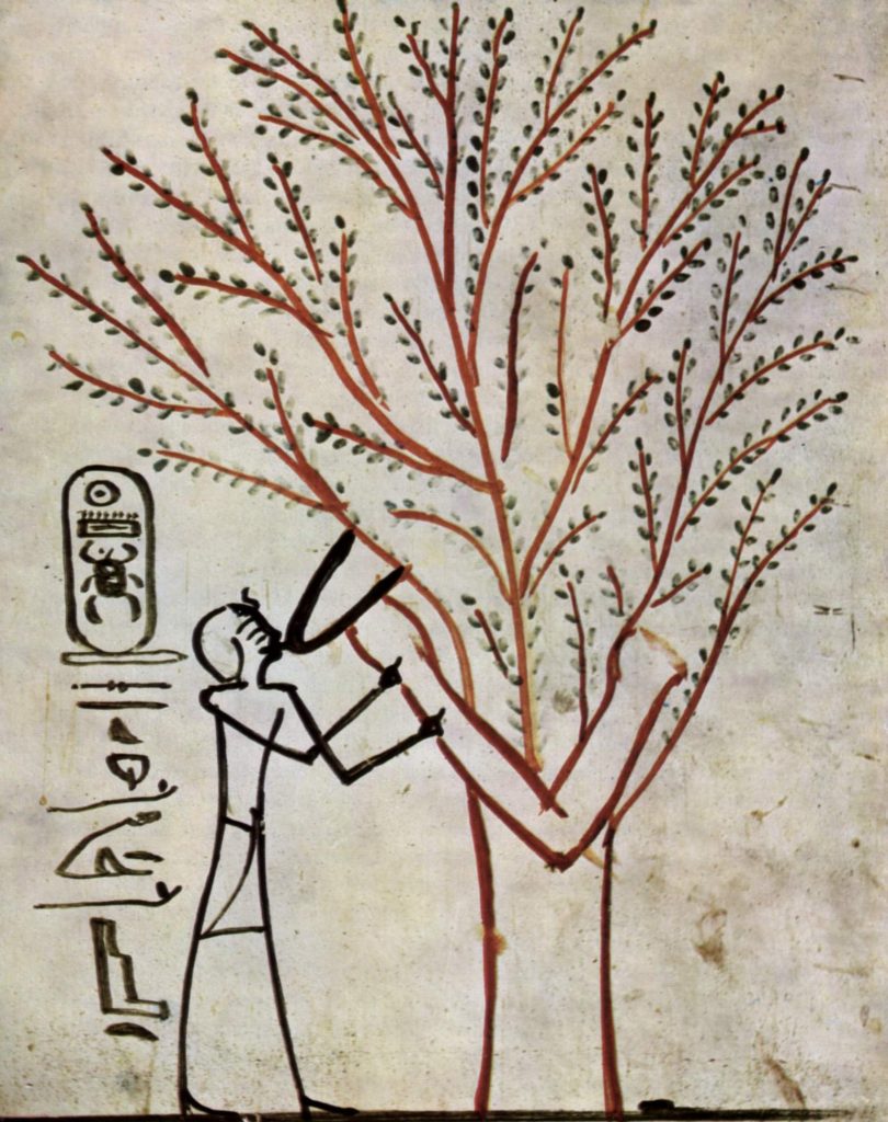 Bildnis aus der Grabkammer: Thutmosis III. wird vom Heiligen Baum (Isched-Baum) gesäugt