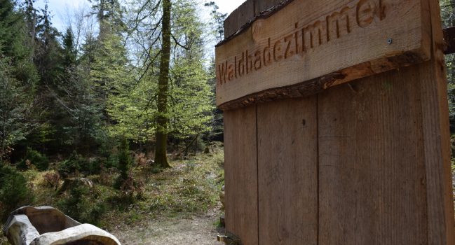Shinrin Yoku – Waldbaden, der neue alte Trend