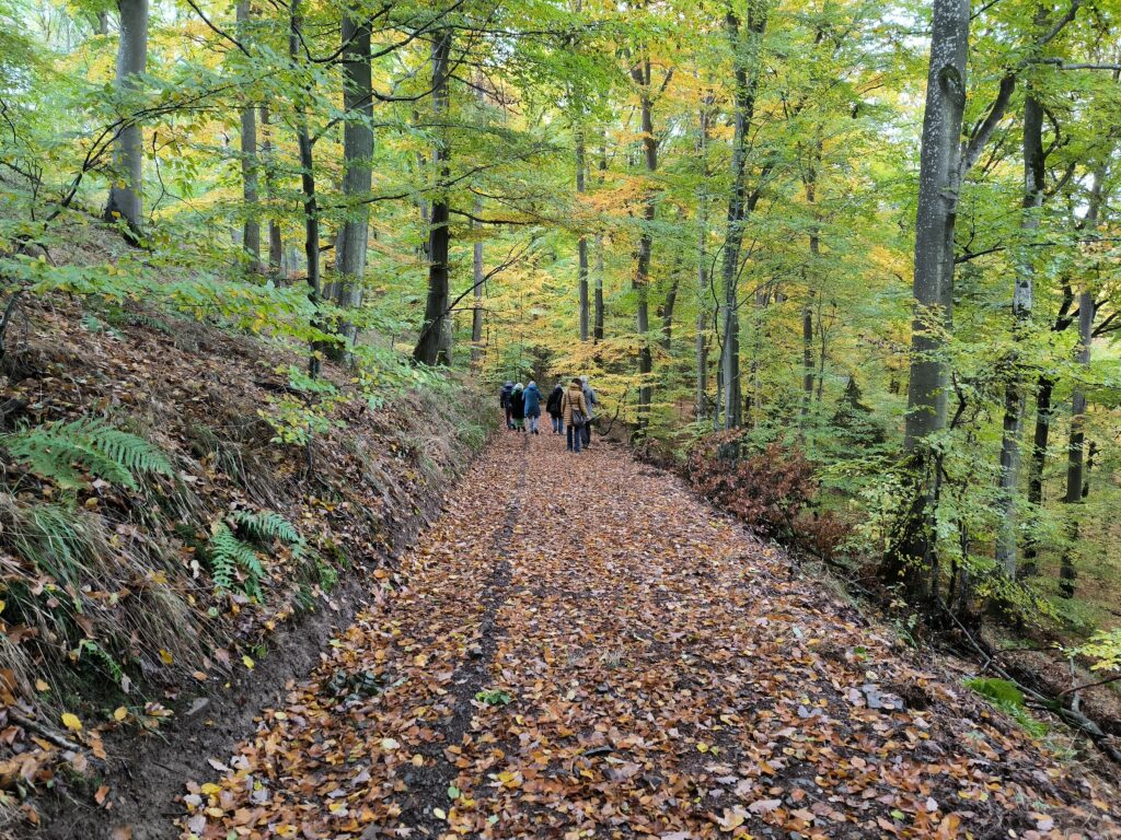 Waldführung durch den Waldfriedhof Eifel