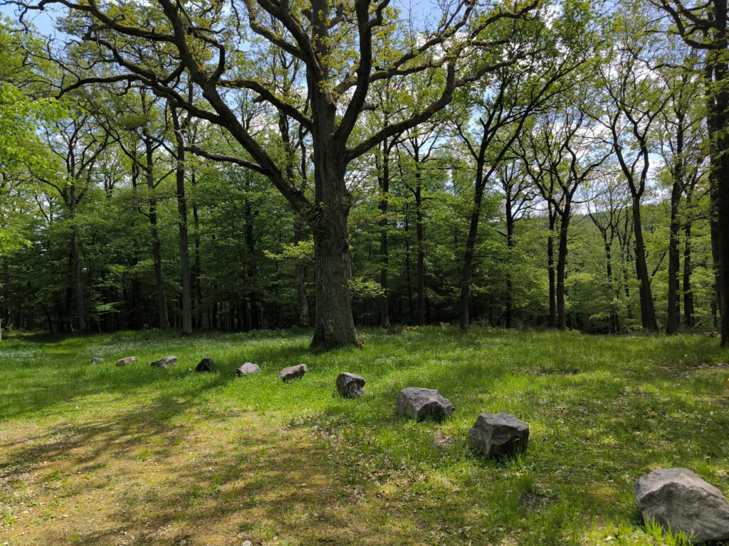 Andachtsplatz im Waldfriedhof Eifel neu mit großen Steinen